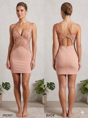 Windsor Blush Lace Trim Mini Dress